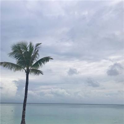小米游戏安全插件下载